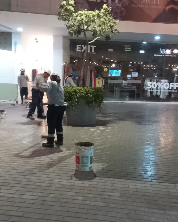 Trabajo JAP PERÚ 4
